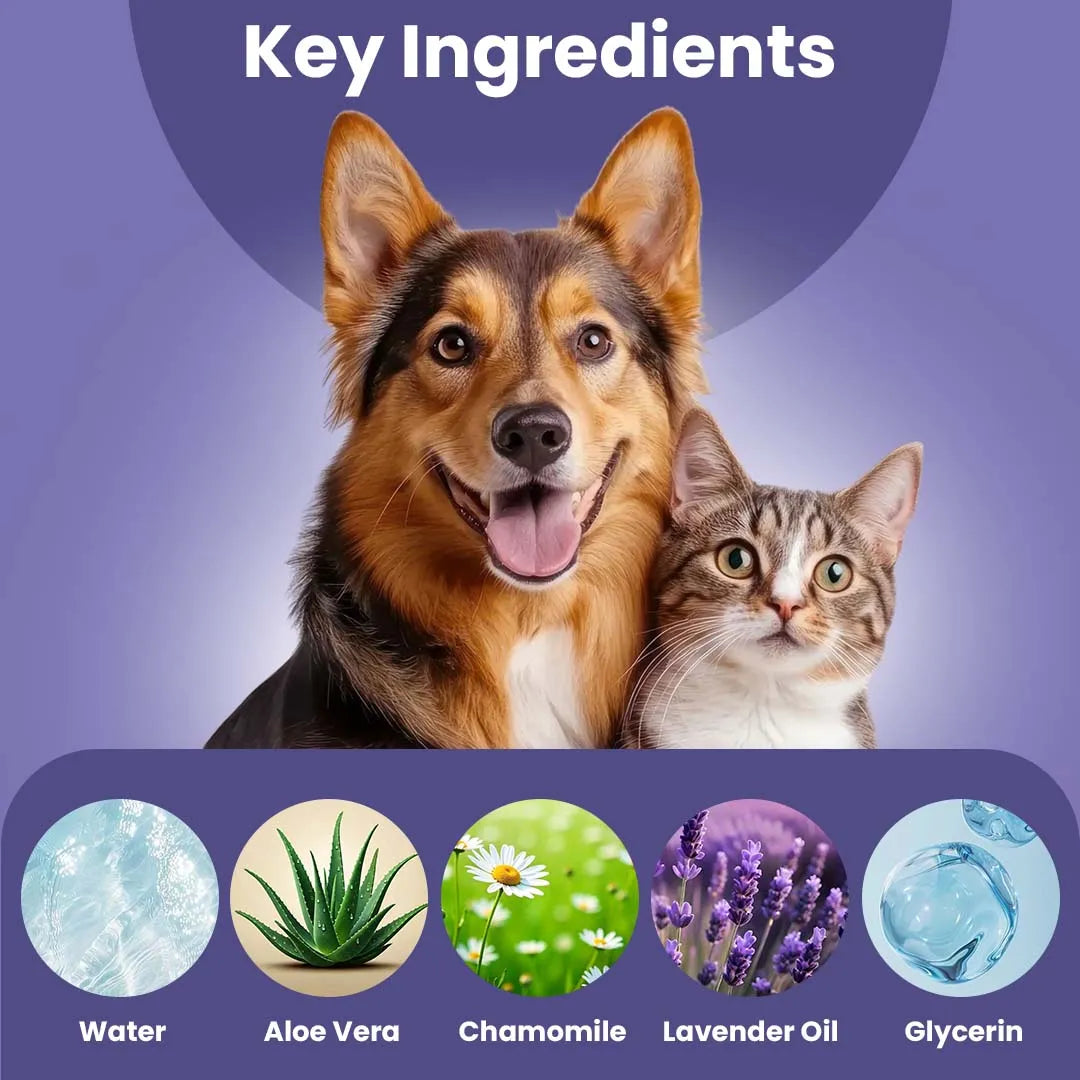 Furryfits No-Rinse Instant Dry Bath Shampoo Spray for Dogs & Cats - Lavender & Chamomile, Waterless 200 ml