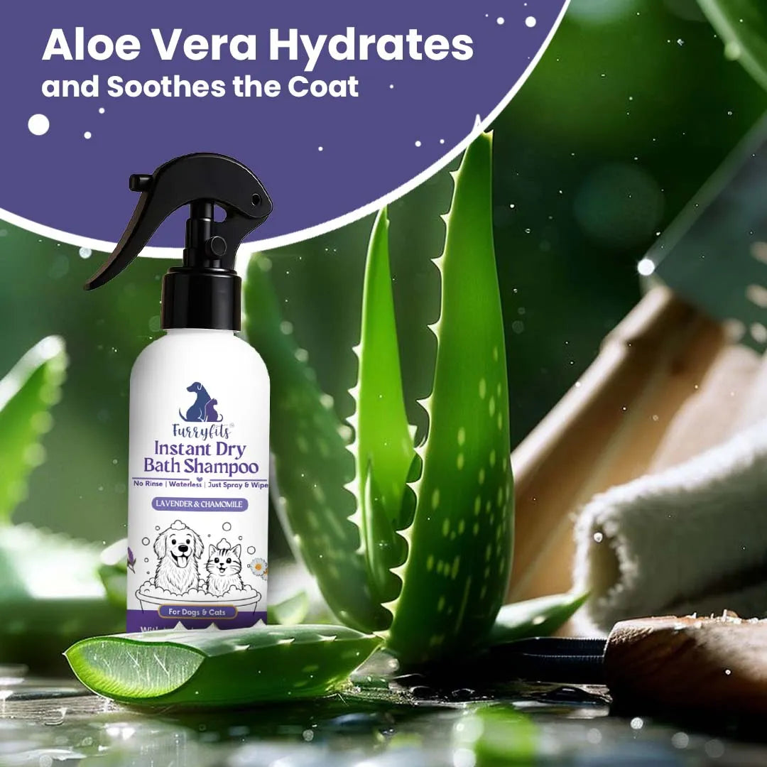 Furryfits No-Rinse Instant Dry Bath Shampoo Spray for Dogs & Cats - Lavender & Chamomile, Waterless 200 ml