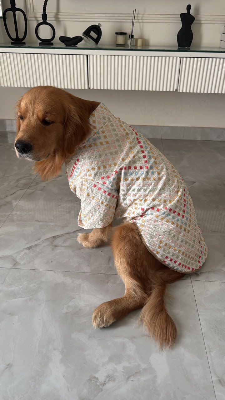 Rangeen Confetti Kurta
