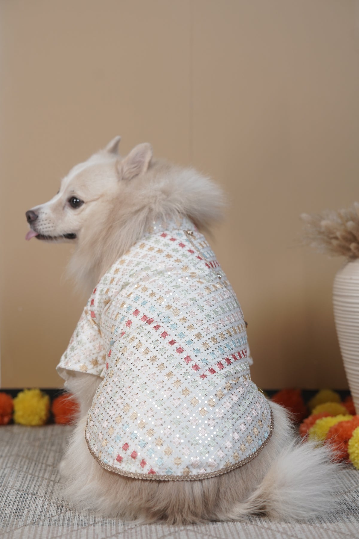 Rangeen Confetti Kurta