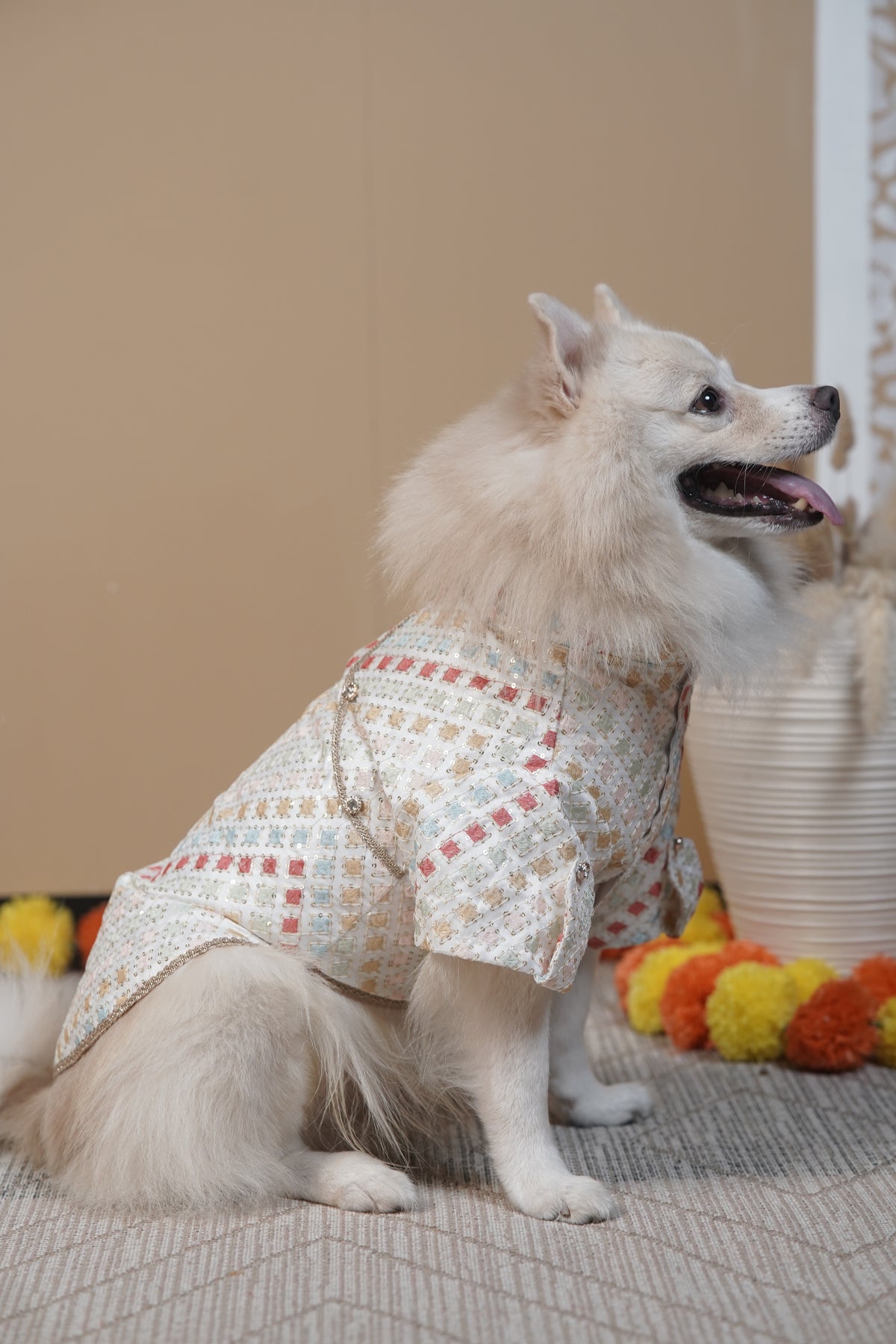 Rangeen Confetti Kurta