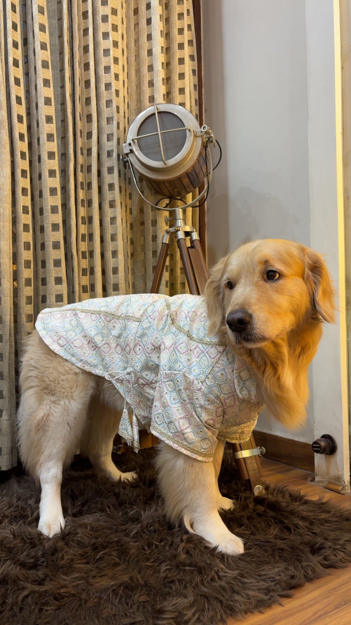 Pastel Diamond Wrap-Front Angrakha Kurta for Dogs