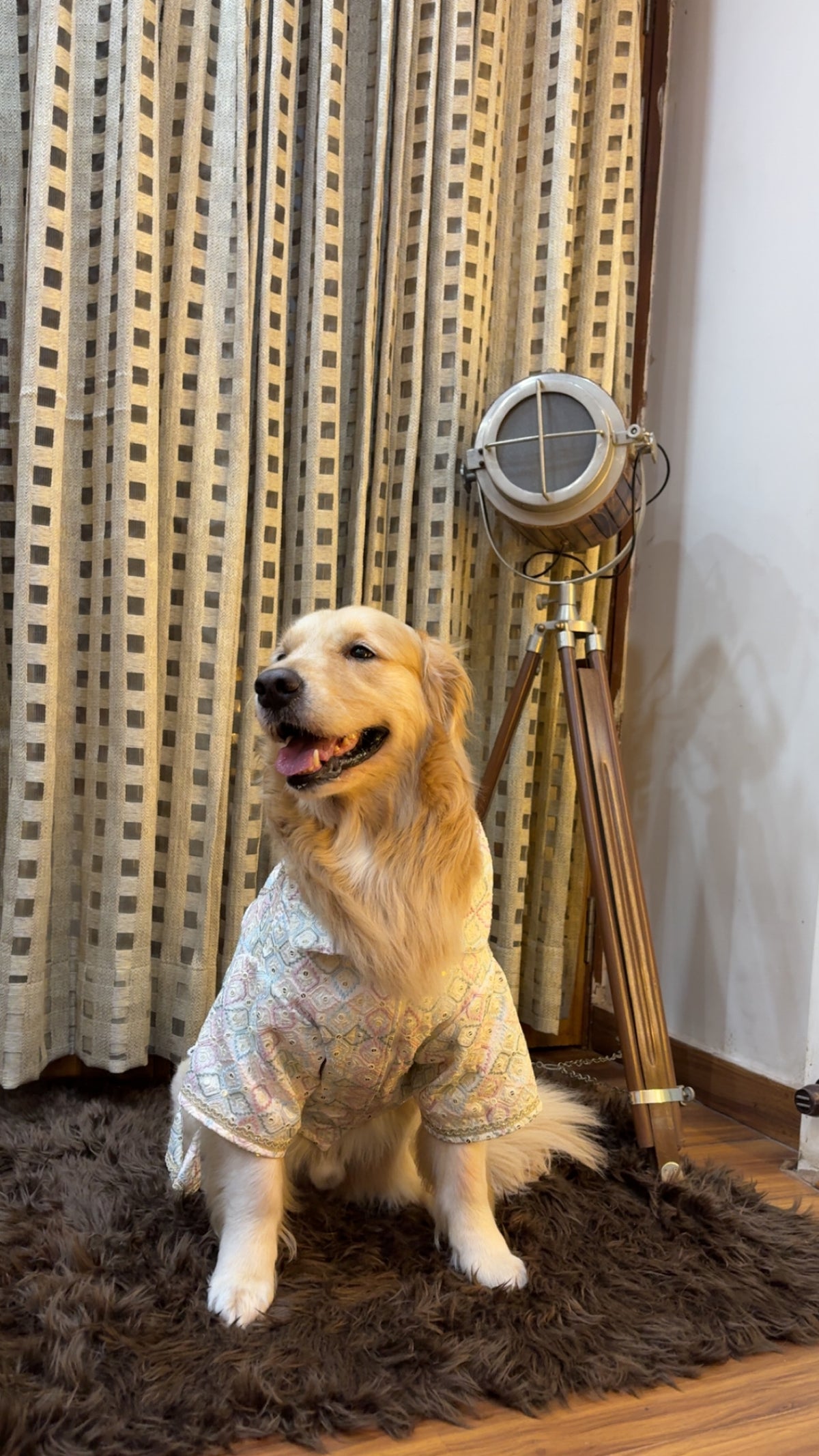 Pastel Diamond Wrap-Front Angrakha Kurta for Dogs
