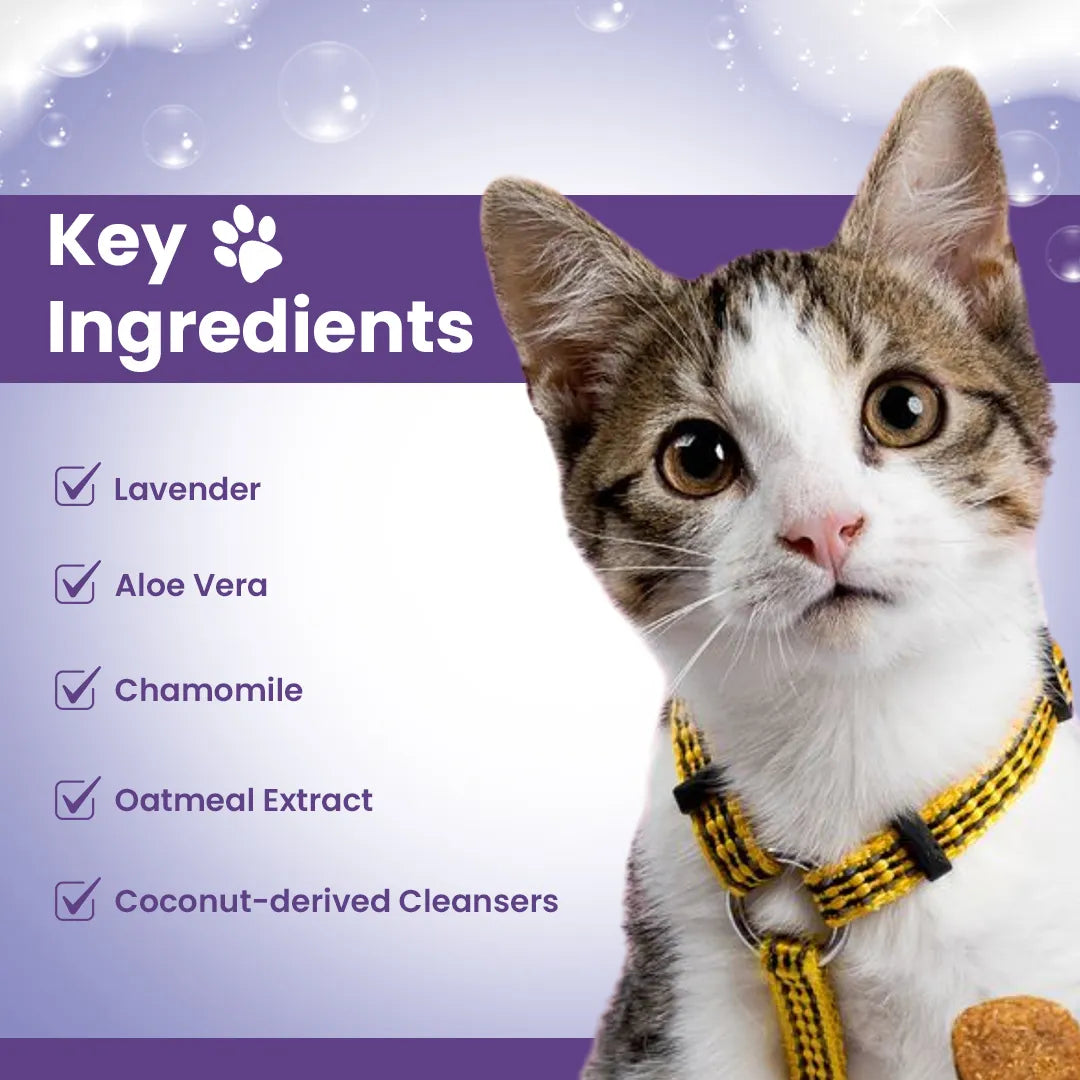 FurryFits Lavender & Aloe Vera Waterless Shampoo - No-Rinse Pet shampoo