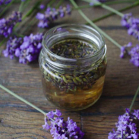 Lavender