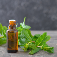 Mint Extract