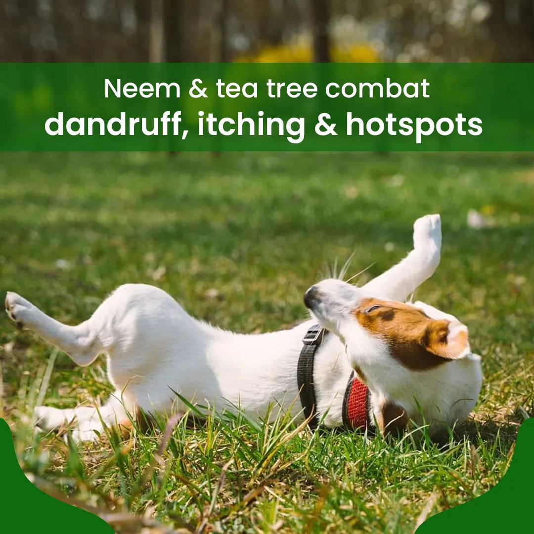 FurryFits Neem & Tea Tree Waterless Shampoo - No-Rinse Foam Shampoo