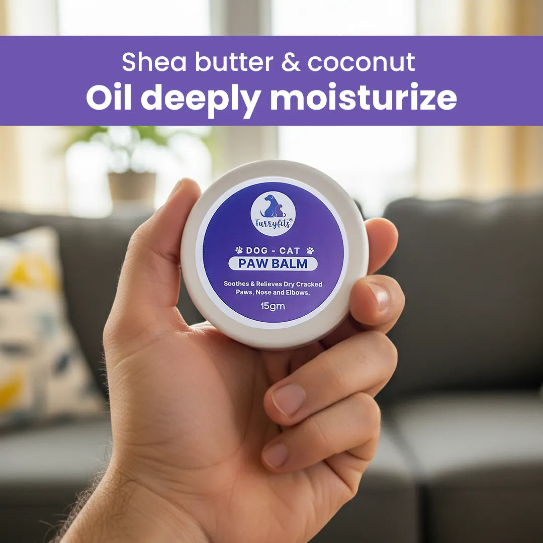 FurryFits Paw Cream - Moisturizing & Protective Care for Pets