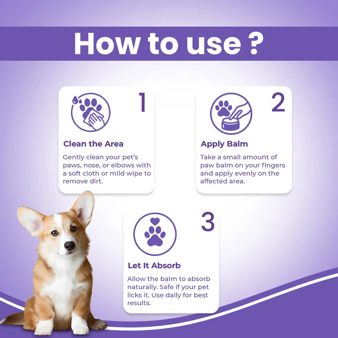 FurryFits Paw Cream - Moisturizing & Protective Care for Pets