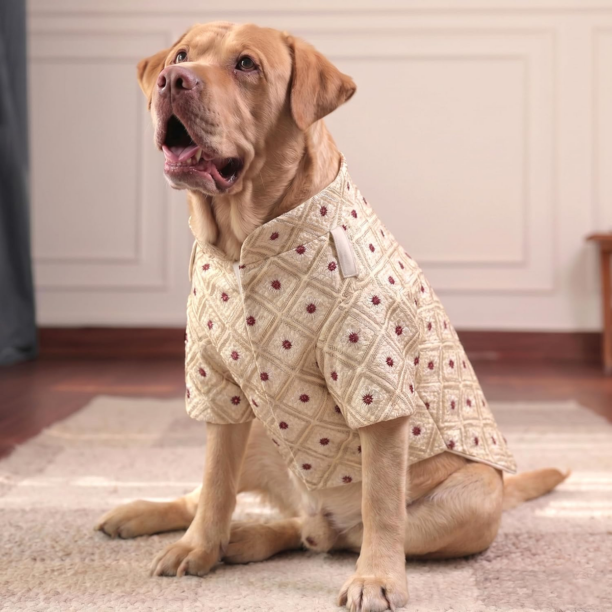Furryfits Royal Embroidered Dog Sherwani