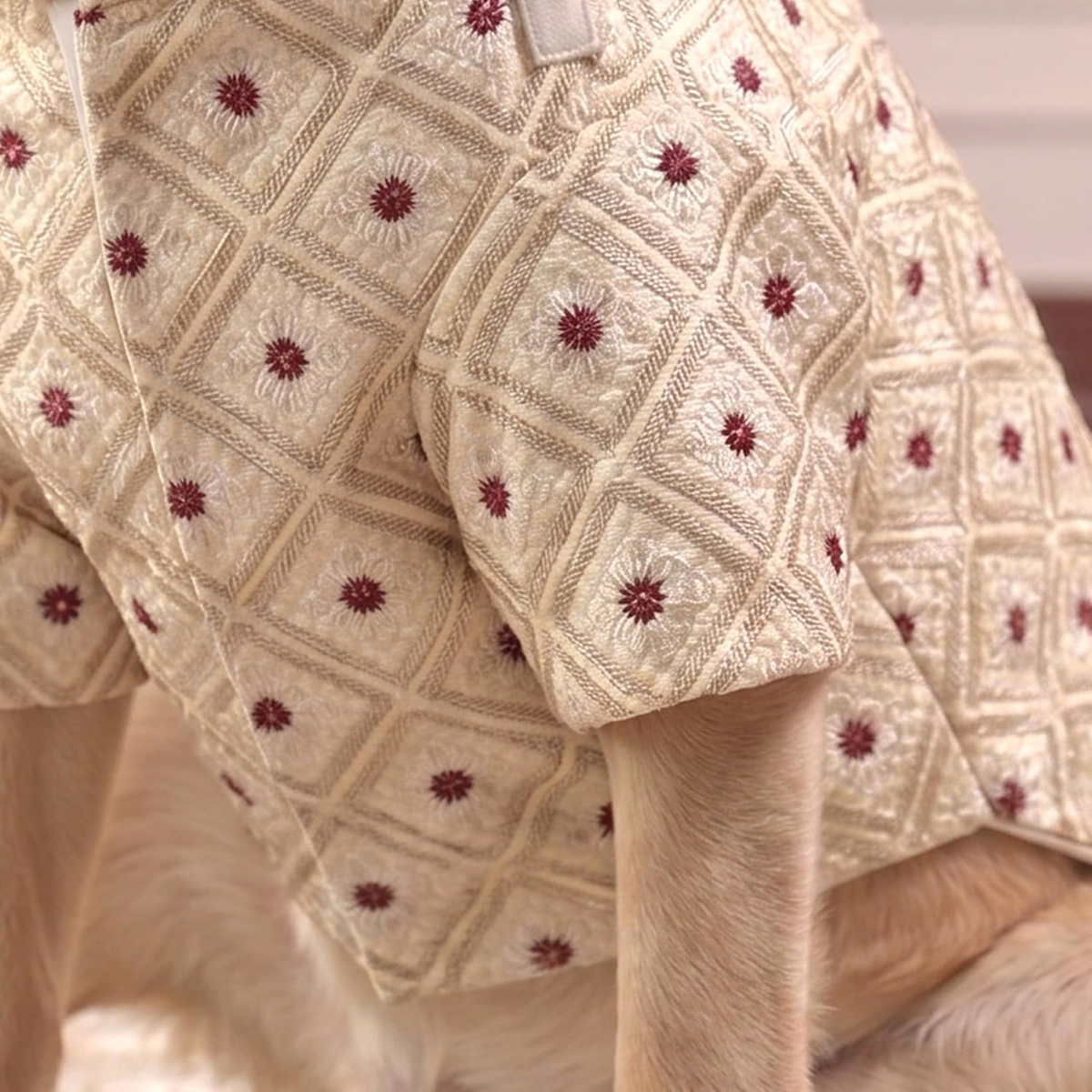 Furryfits Royal Embroidered Dog Sherwani
