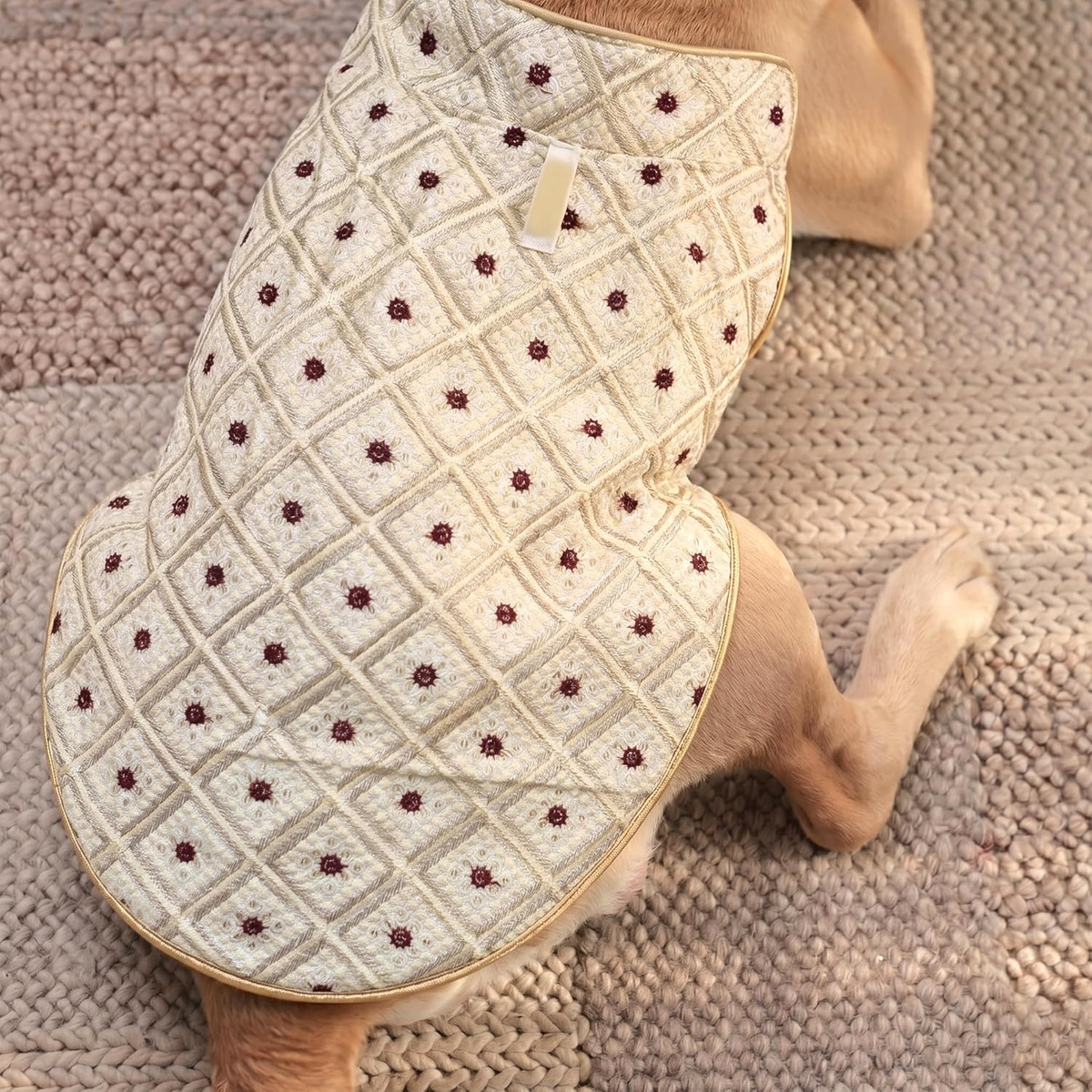 Furryfits Royal Embroidered Dog Sherwani