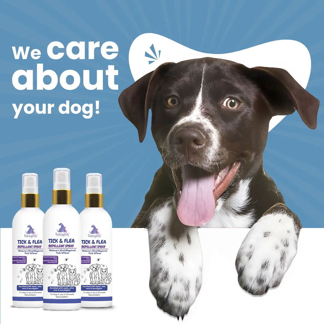 FurryFits Tick & Flea Repellent Dog Spray – Protects Pets from Pests