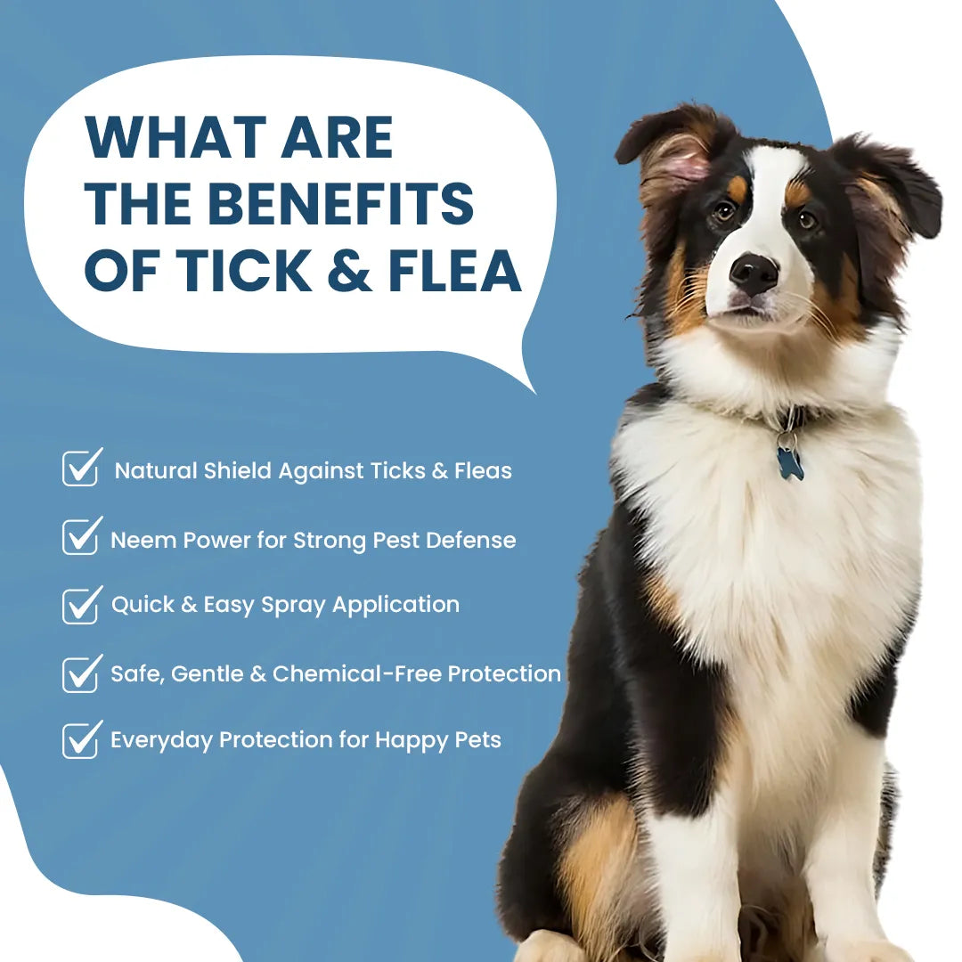 FurryFits Tick & Flea Repellent Dog Spray – Protects Pets from Pests