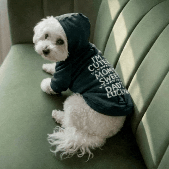 Olive Snug Hoodie – Cozy Olive Green Winter Pet Hoodie