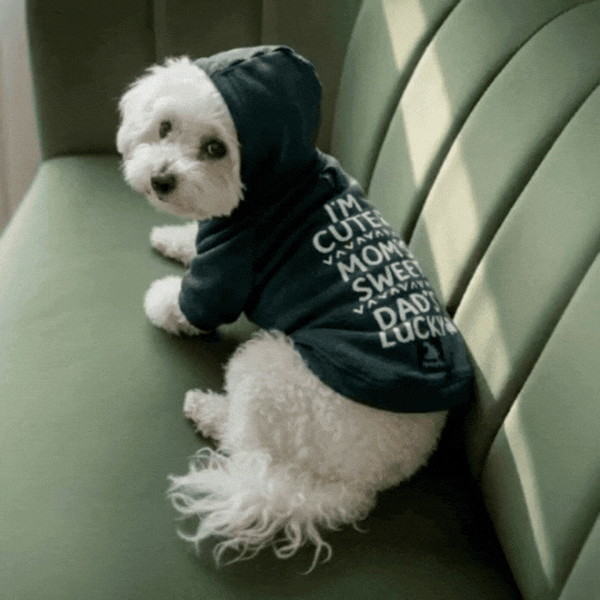 Olive Snug Hoodie – Cozy Olive Green Winter Pet Hoodie