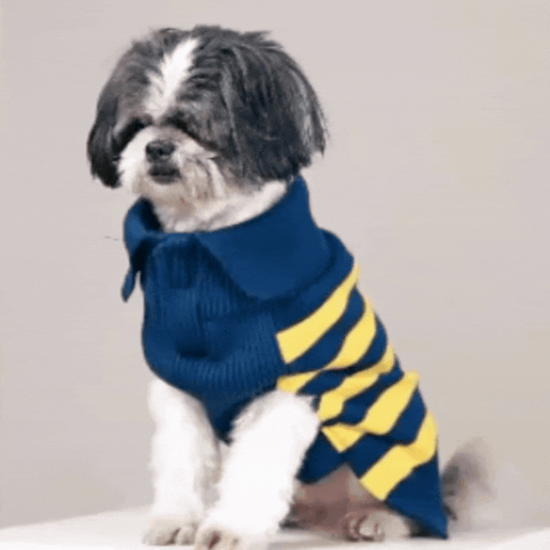 Honeybee Hug Sweater – Cozy Yellow Knit Pet Sweater