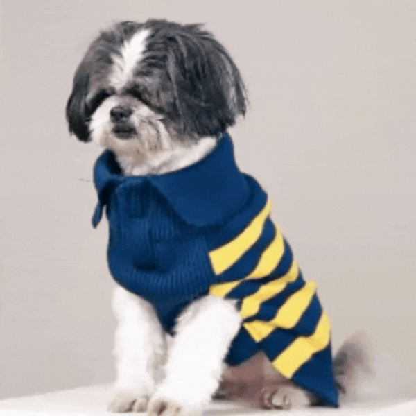Honeybee Hug Sweater – Cozy Yellow Knit Pet Sweater