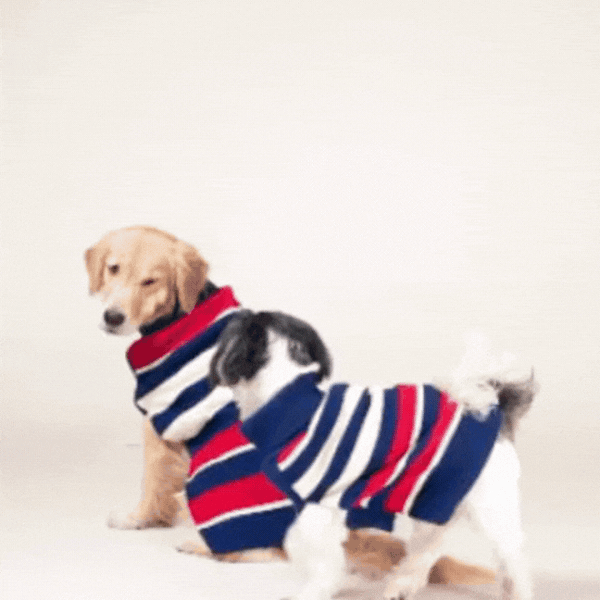CruiseLine Knit Sweater – Classic Navy Winter Pet Sweater
