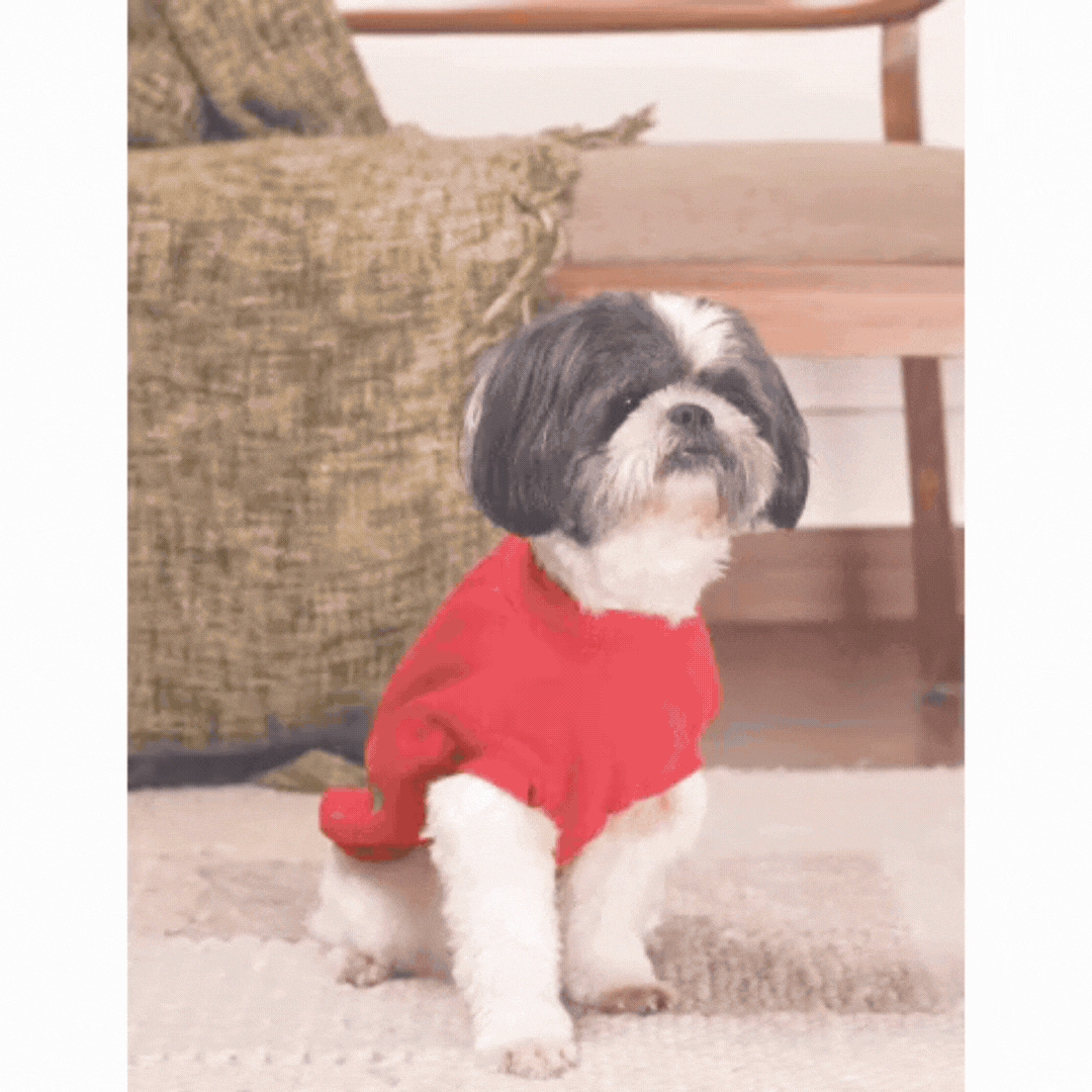 Jingle Joy Tee – Christmas Red Winter Pet Tee