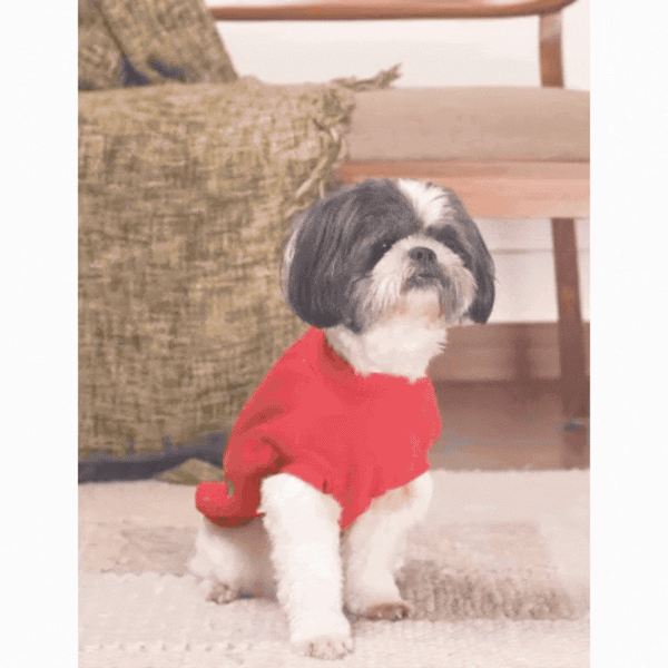 Jingle Joy Tee – Christmas Red Winter Pet Tee