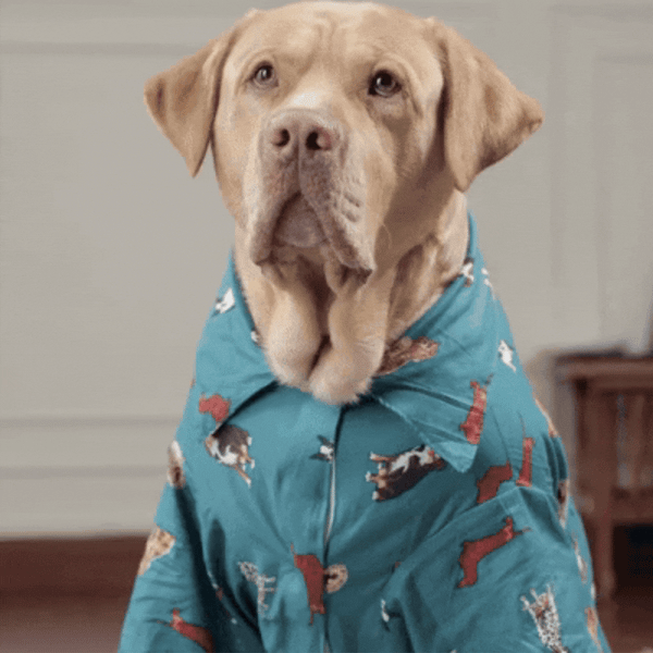 Playful Paws Printed Dog Shirt- Lightweight Casual Summer Wear