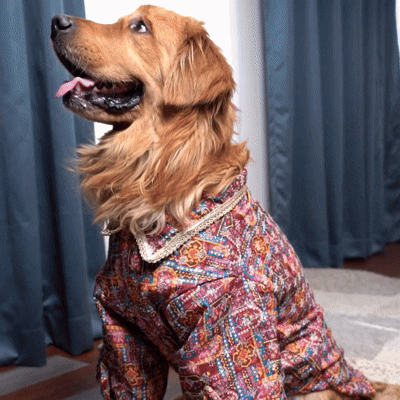 RangMahal Printed Ethnic Dog Kurta- Full Sleeve Wedding & Festive Wear
