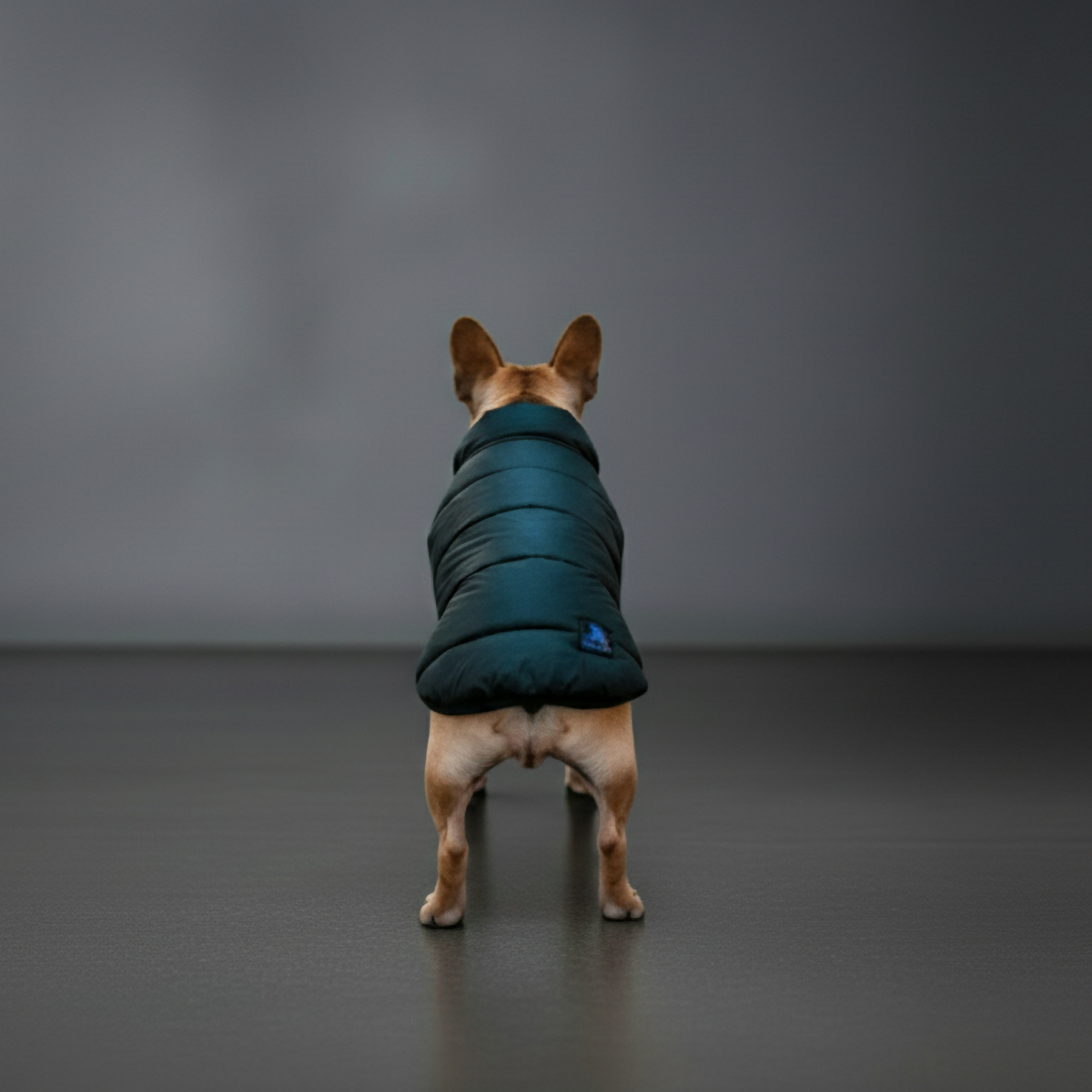 Midnight Puff Black Quilted Jacket – Sleek Winter Pet Jacket