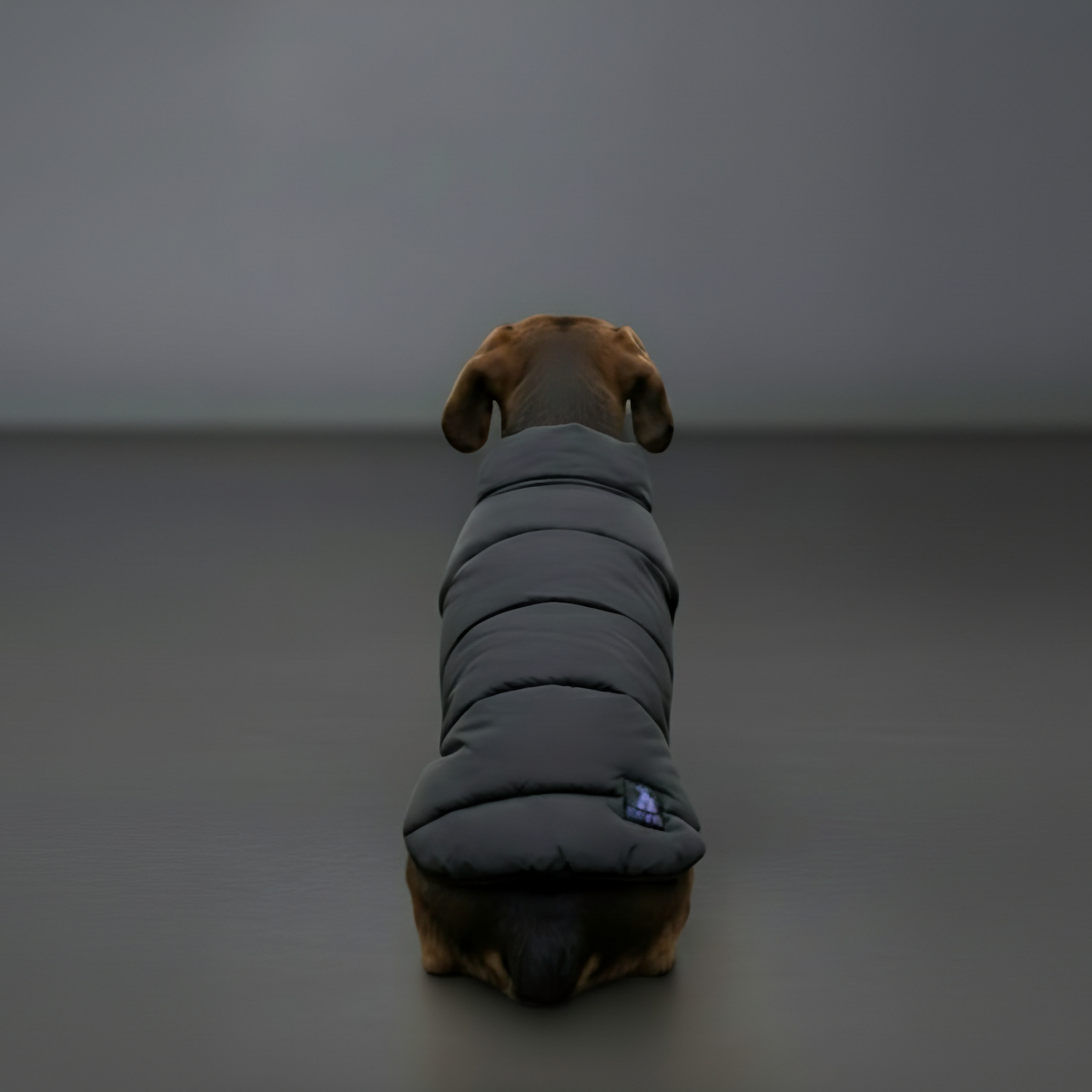 Midnight Puff Black Quilted Jacket – Sleek Winter Pet Jacket