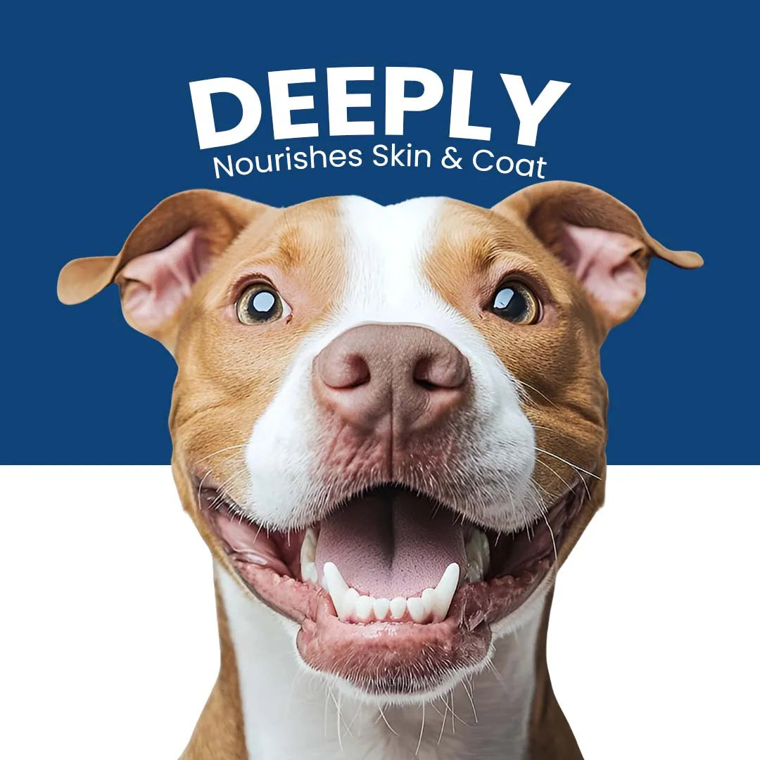 Furryfits Calm & Coat Massage Oil for Dogs & Cats - Ayurvedic Cold-Pressed Blend, 100 ml