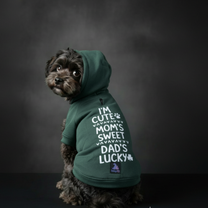 Olive Snug Hoodie – Cozy Olive Green Winter Pet Hoodie