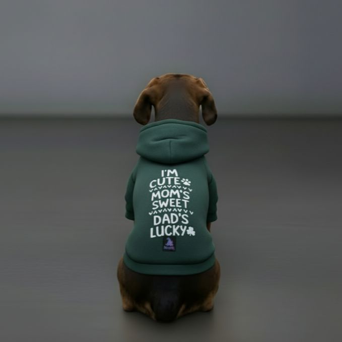 Olive Snug Hoodie – Cozy Olive Green Winter Pet Hoodie