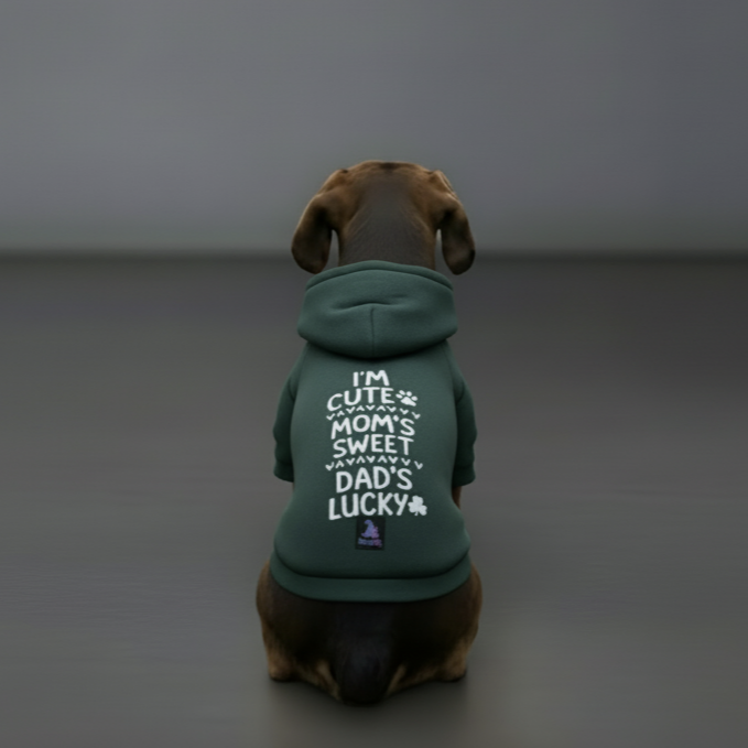 Olive Snug Hoodie – Cozy Olive Green Winter Pet Hoodie