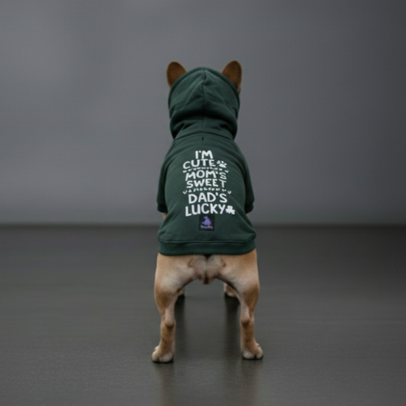 Olive Snug Hoodie – Cozy Olive Green Winter Pet Hoodie