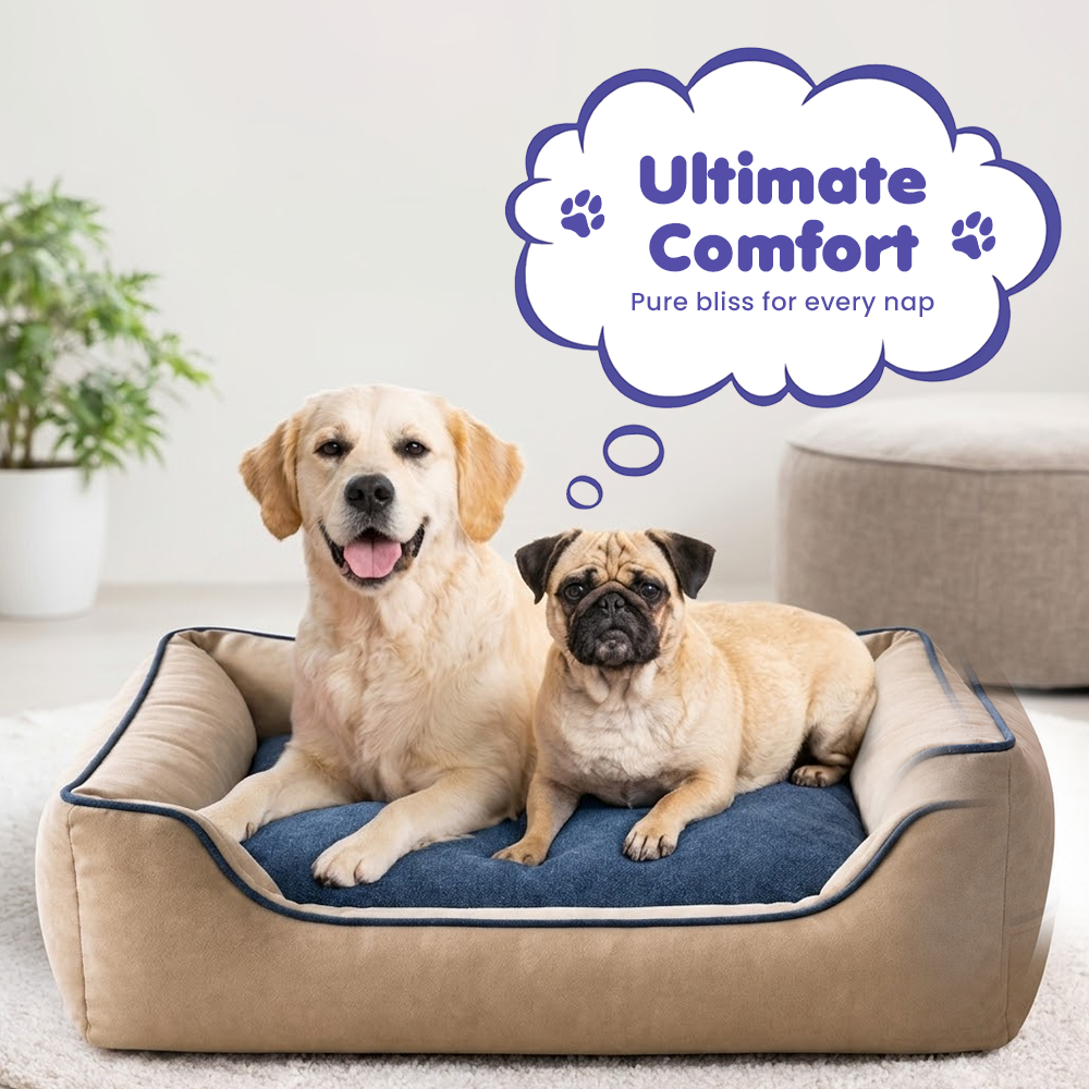 Two dogs relaxing on the FurryFits two-tone orthopedic dog bed