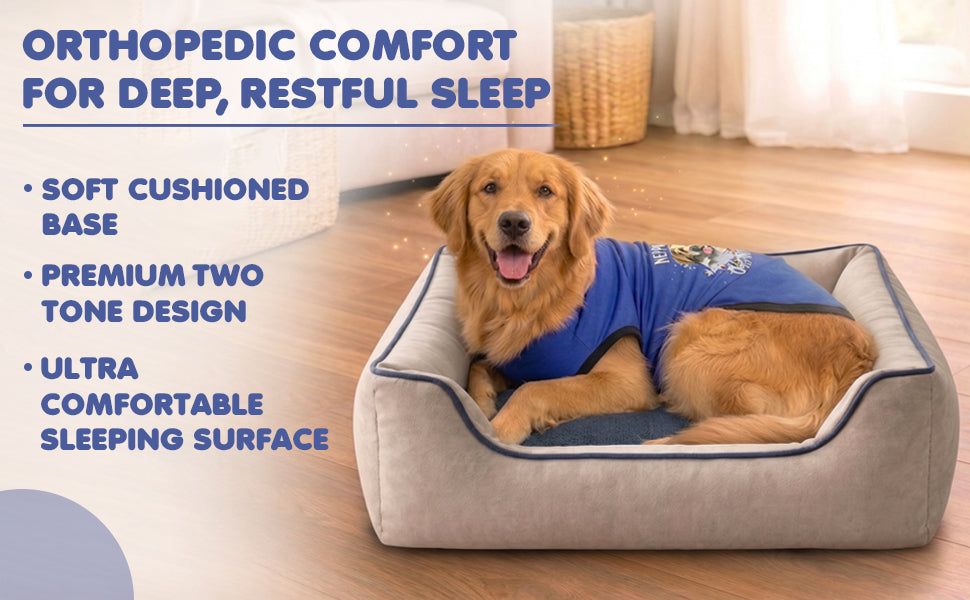 FurryFits Premium Two-Tone Beige & Blue Dog Bed with Bolsters — orthopedic denim cushion pet bed
